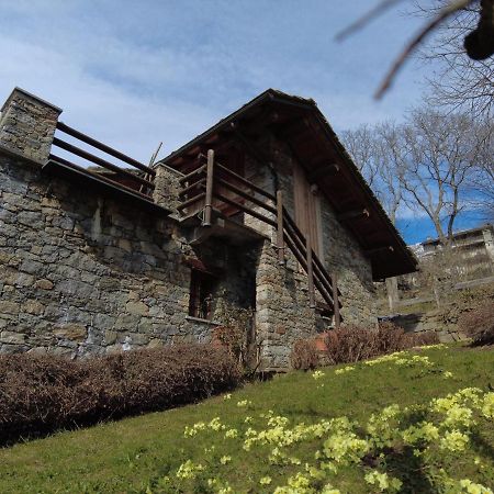 La Mura' - Il Vostro Posto Nel Gran Paradiso Ronco Canavese エクステリア 写真