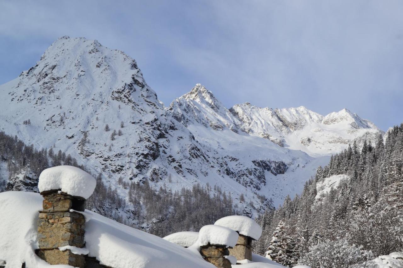 La Mura' - Il Vostro Posto Nel Gran Paradiso Ronco Canavese エクステリア 写真