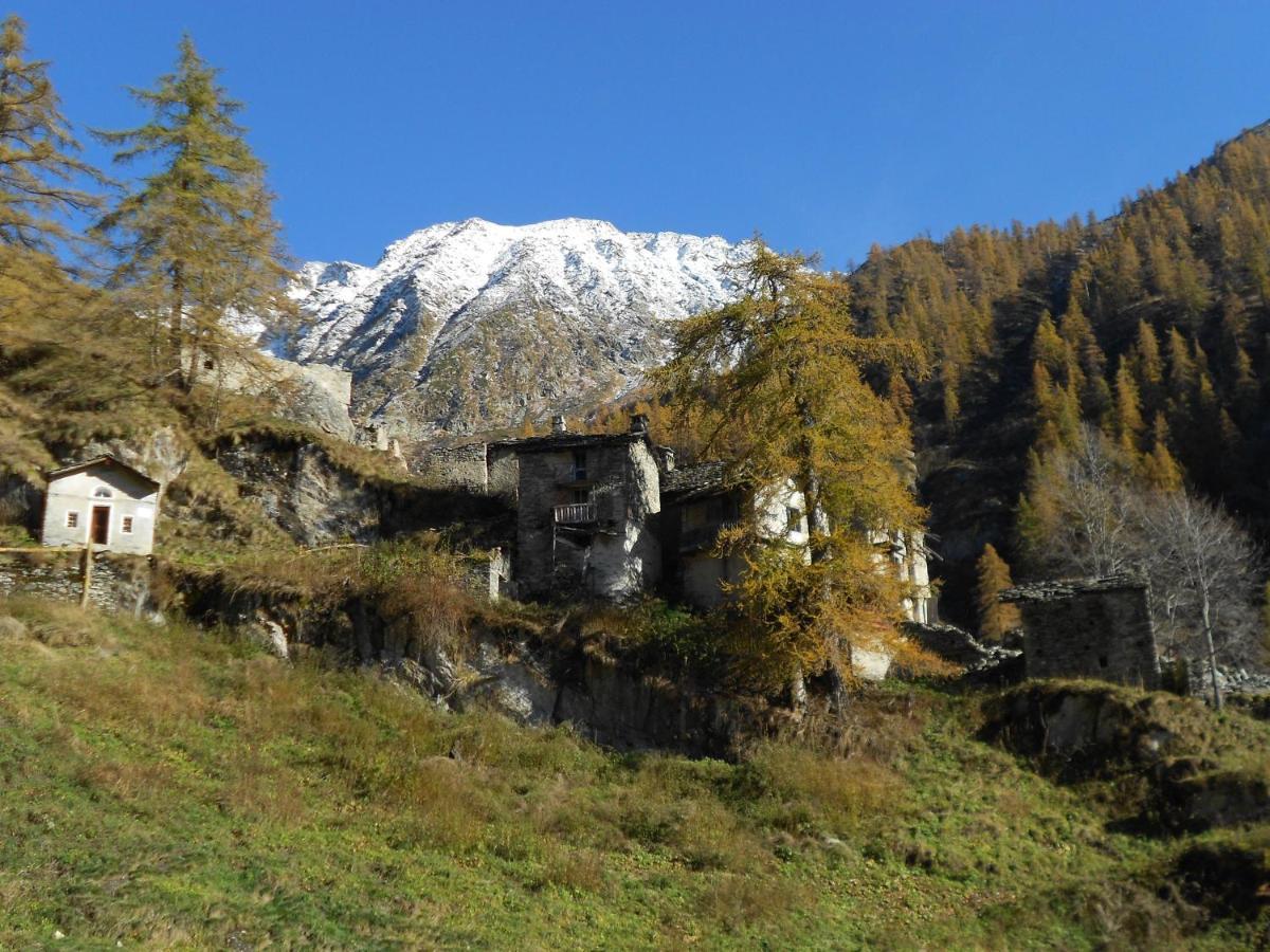 La Mura' - Il Vostro Posto Nel Gran Paradiso Ronco Canavese エクステリア 写真
