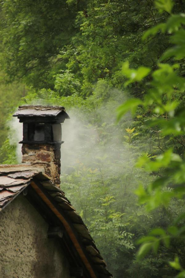 La Mura' - Il Vostro Posto Nel Gran Paradiso Ronco Canavese エクステリア 写真