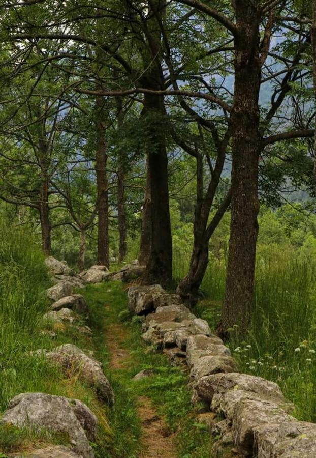 La Mura' - Il Vostro Posto Nel Gran Paradiso Ronco Canavese エクステリア 写真