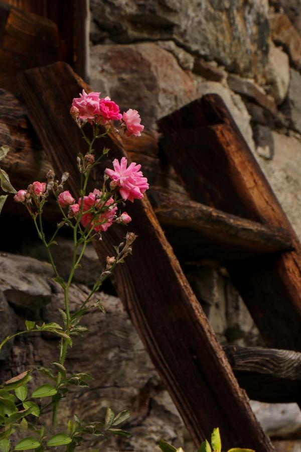 La Mura' - Il Vostro Posto Nel Gran Paradiso Ronco Canavese エクステリア 写真