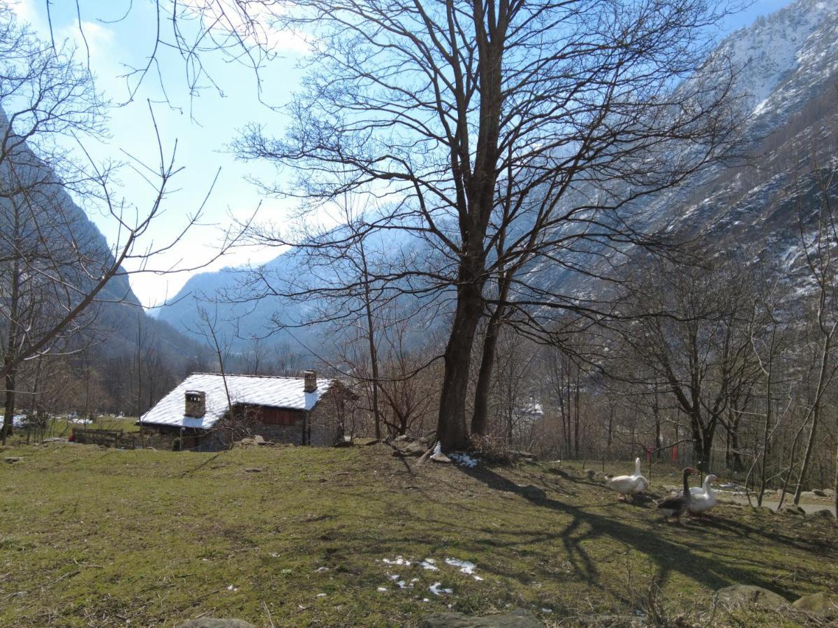 La Mura' - Il Vostro Posto Nel Gran Paradiso Ronco Canavese エクステリア 写真