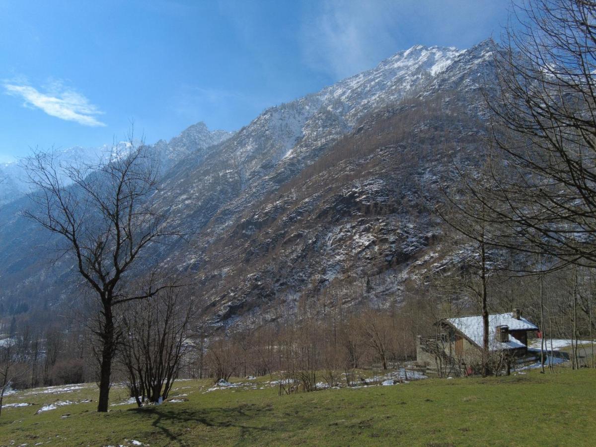 La Mura' - Il Vostro Posto Nel Gran Paradiso Ronco Canavese エクステリア 写真