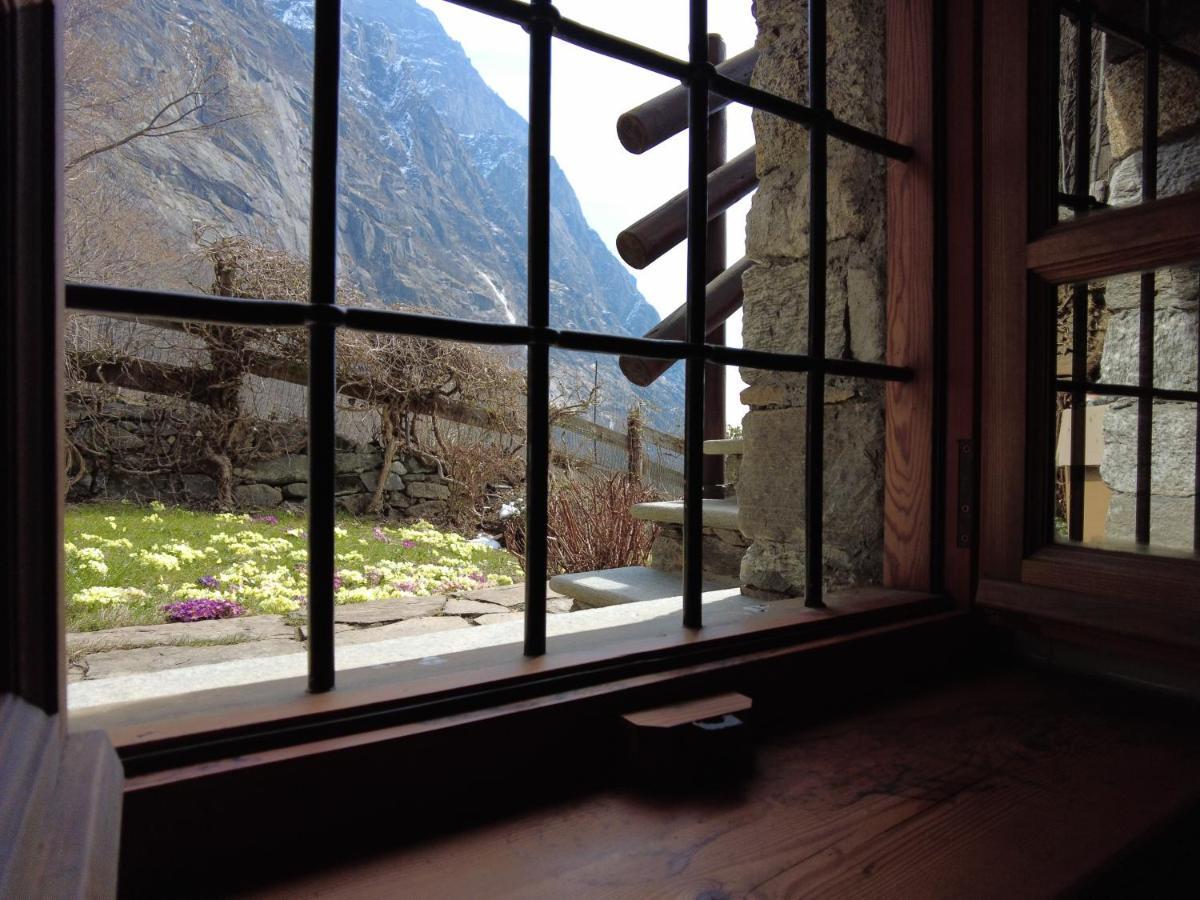 La Mura' - Il Vostro Posto Nel Gran Paradiso Ronco Canavese エクステリア 写真