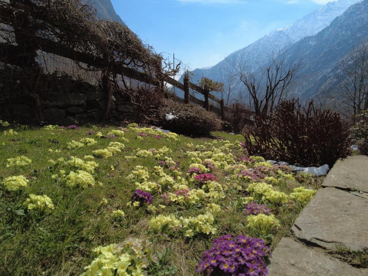 La Mura' - Il Vostro Posto Nel Gran Paradiso Ronco Canavese エクステリア 写真