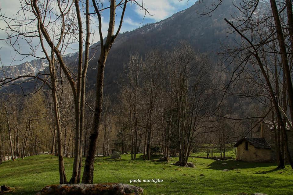 La Mura' - Il Vostro Posto Nel Gran Paradiso Ronco Canavese エクステリア 写真