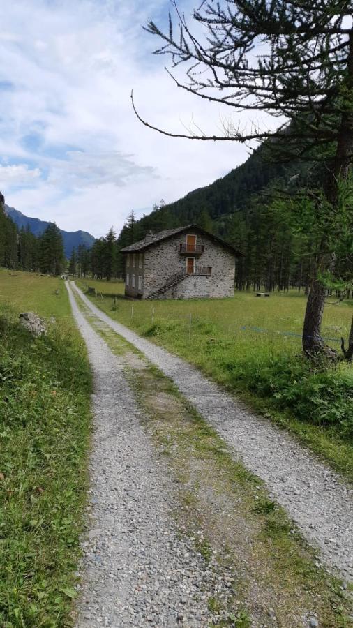 La Mura' - Il Vostro Posto Nel Gran Paradiso Ronco Canavese エクステリア 写真