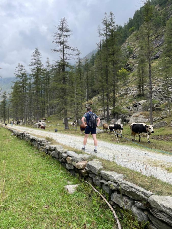 La Mura' - Il Vostro Posto Nel Gran Paradiso Ronco Canavese エクステリア 写真